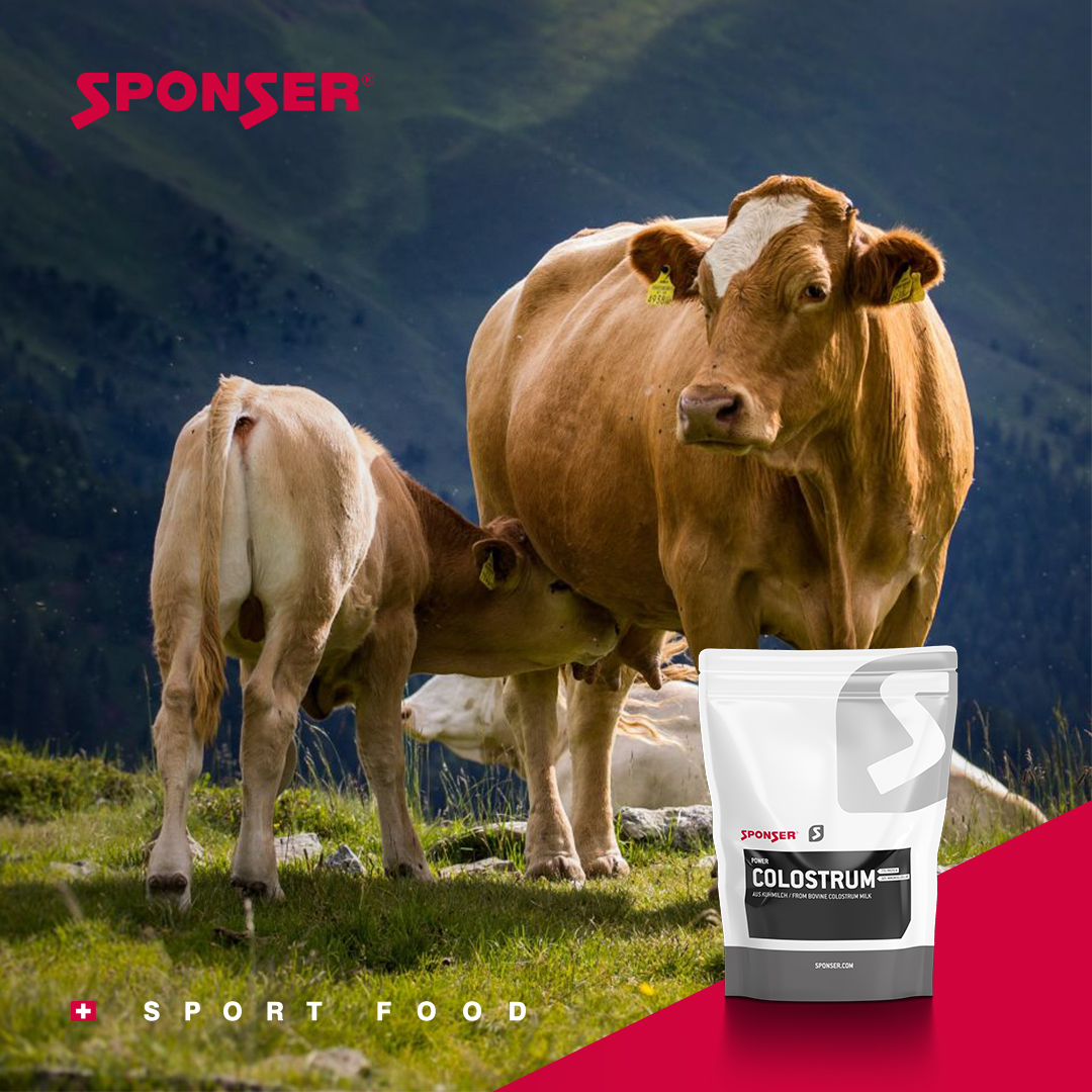 100% pure COLOSTRUM without additives, very well water soluble. Can be ideally combined with ordinary protein shakes or used for protein enrichment of food and beverages. Protein supports the building and maintenance of muscle mass.

sponser.com/performanceopt…

#sportfood