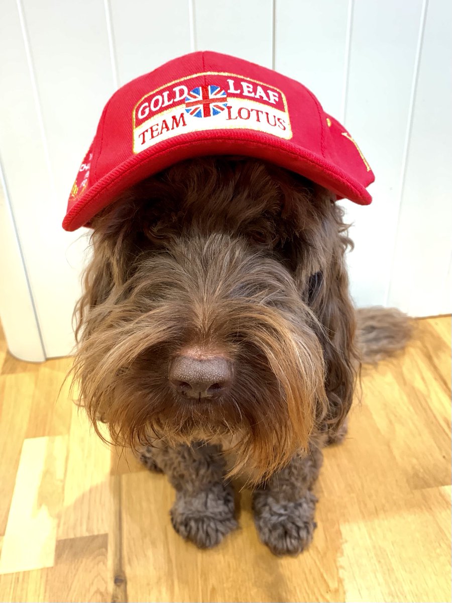 McLaren Doggo tweet media