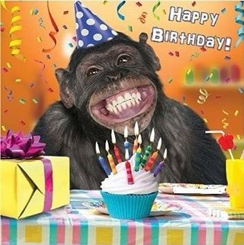 taelsooj's tweet photo. @s0jns HAPPY BIRTHDAY๐๐๐ #ourshiningstarayaday #happybirthday #sweet13 #bffaya #ayalove #happyayaday https://t.co/9sVrYqDhqS