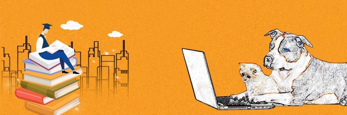 Hotbit will launch KSHIBA (Kitty Shiba) on November 11th, 2021
hotbit.zendesk.com/hc/en-us/artic… 
Explorer: bscscan.com/token/0xc978ba…
Chart: poocoin.app/tokens/0xc978b…
------------------- 

#kittyshiba #kshiba #BSC20 #meme