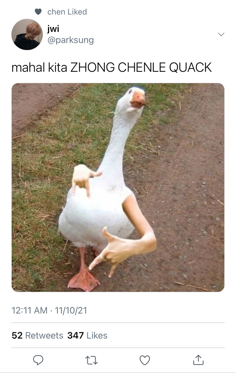 Четкий Гусь