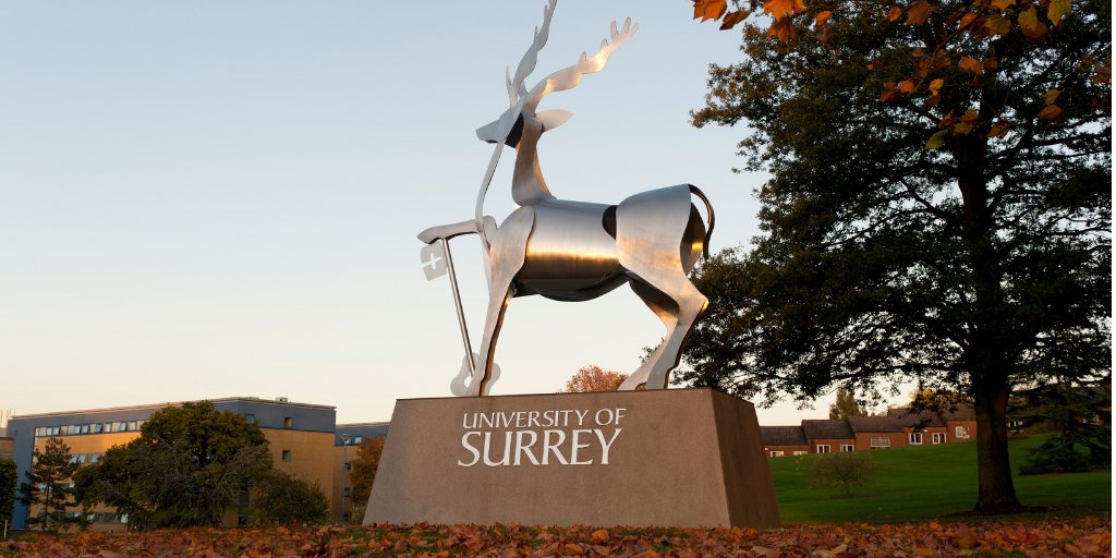 SurreyBusinessSchool tweet media
