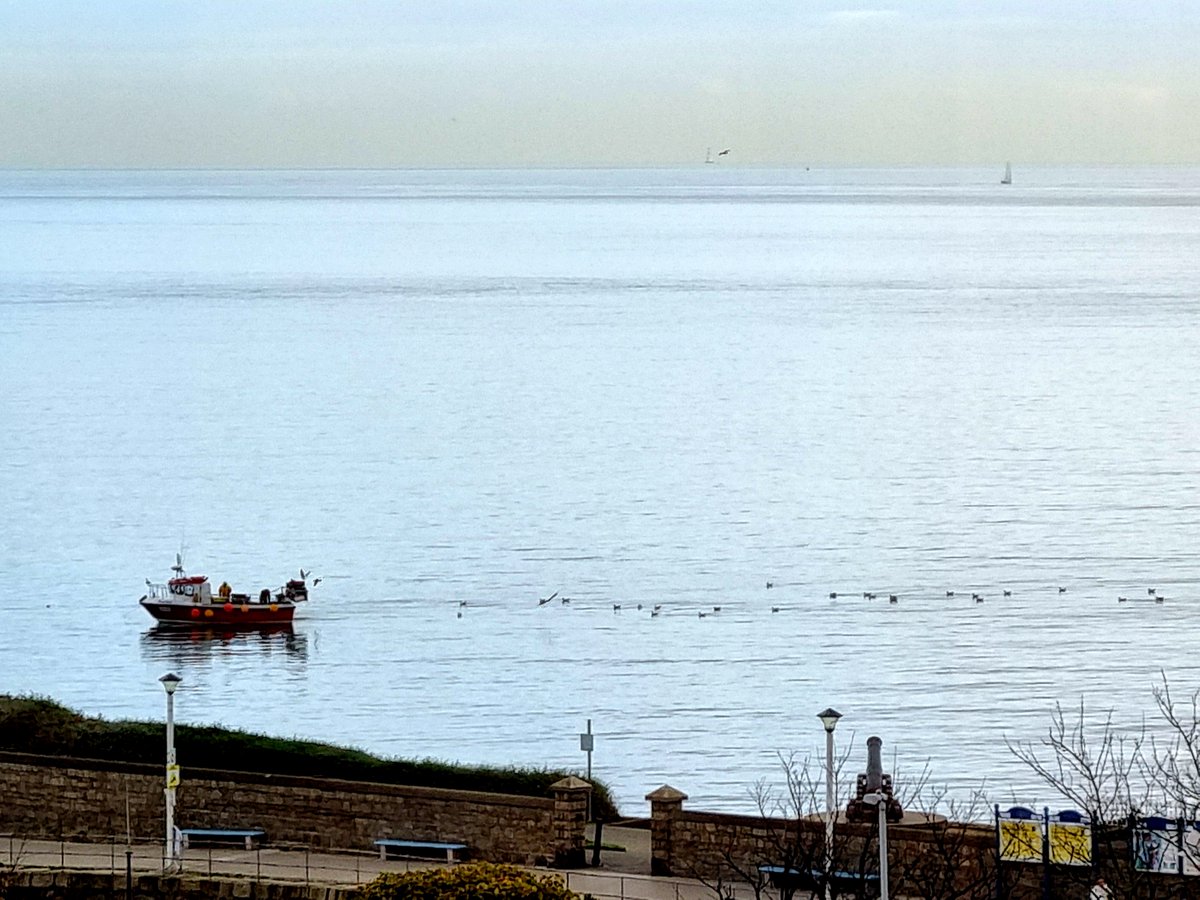 DLR_Libraries's tweet photo. Fantastic view of the seagulls trailing the fishing boat, taken from #dlrlexiconlibrary. There are always interesting and captivating views throughout the library. Come see for yourself! @dlrLexIcon @dlrcc @DunLaoghaireTn https://t.co/x83yD83jbn