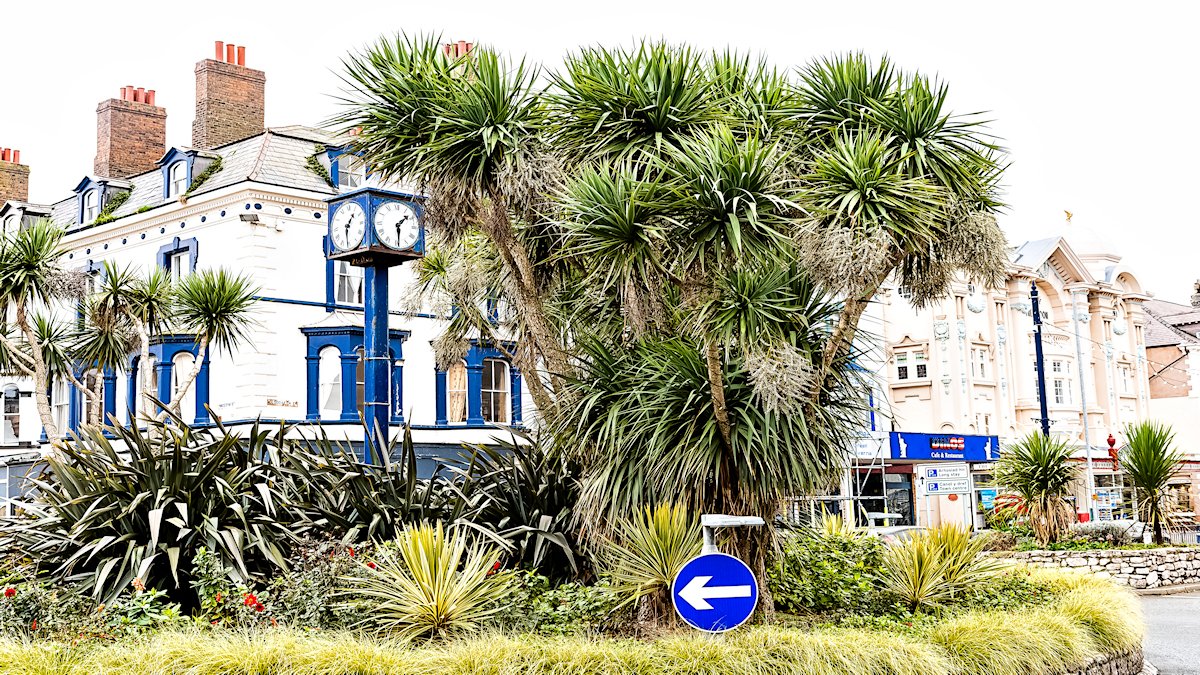 BJRoberts's tweet photo. Llandudno Mostyn Street's legendary 'Floral Clock Roundabout' on a pleasantly mild November morning. @Ruth_ITV @kelseyredmore @ItsYourWales @WalesCoastPath @northwalescom @AllThingsCymru @OurWelshLife @NWalesSocial #Llandudno #MostynStreet #FloralClockRoundabout #November #Wales https://t.co/SIh6EEXbbi