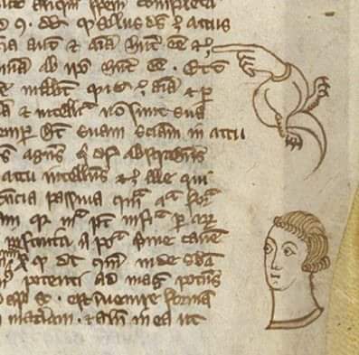 Turnsole Press tweet media