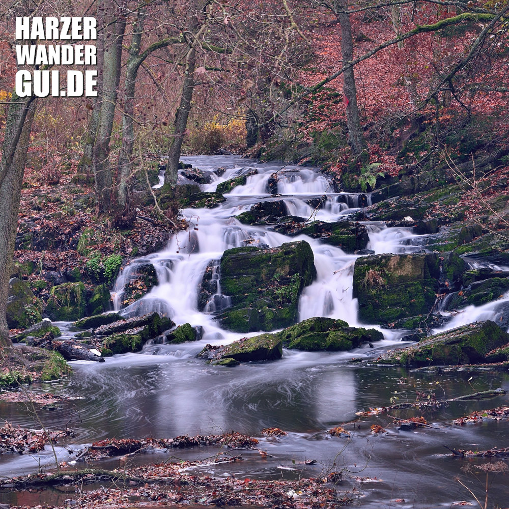 Der #Selkefall, leider zwei drei Wochen zu spät...