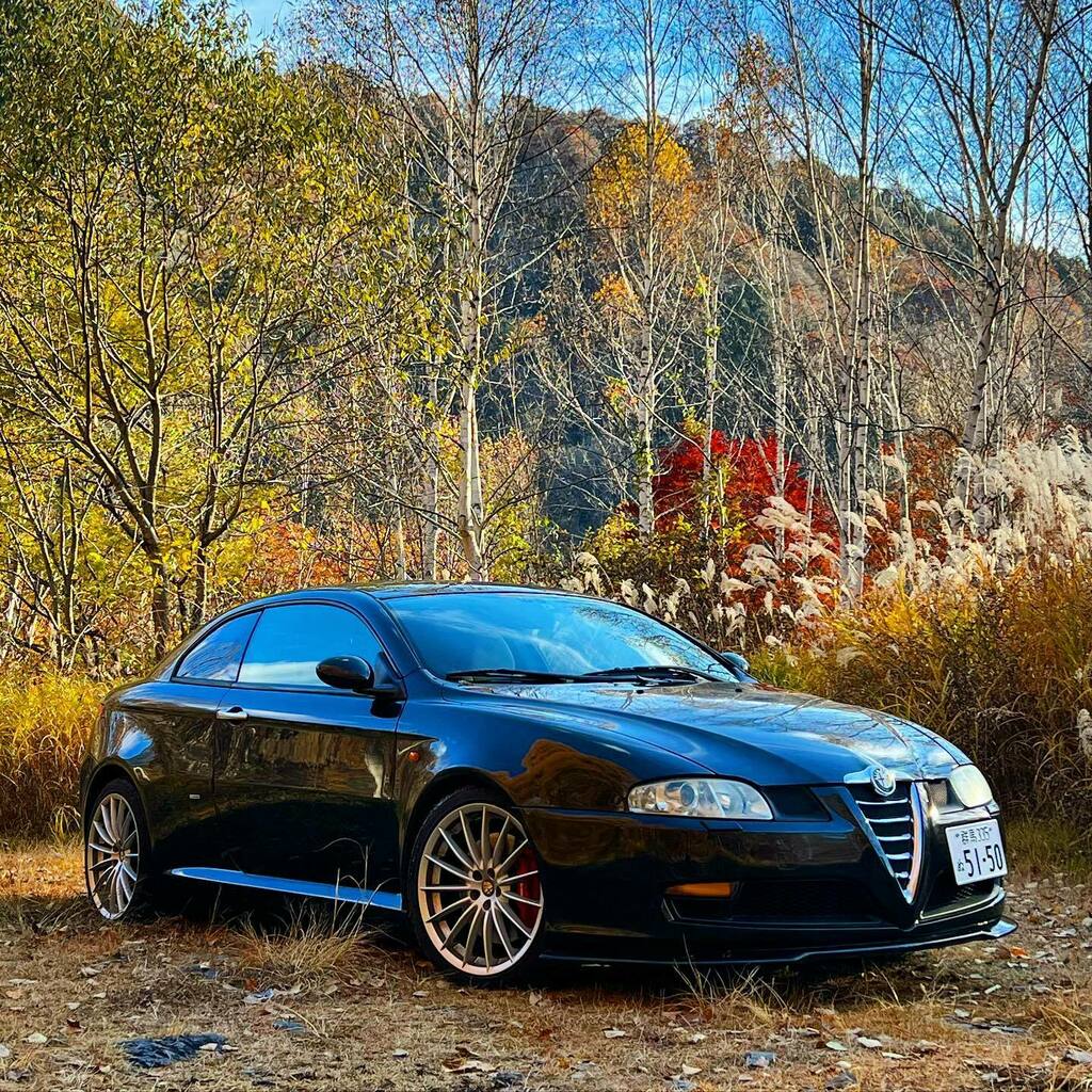 MurohashiMasa's tweet photo. 藤原の紅葉は終盤🍁
#alfaromeo #alfaromeogt 
#alfagt #アルファgt 
#bussov6 #グンマーの秋 https://t.co/t3sNhDVSr0 https://t.co/wNTTqi0NhQ