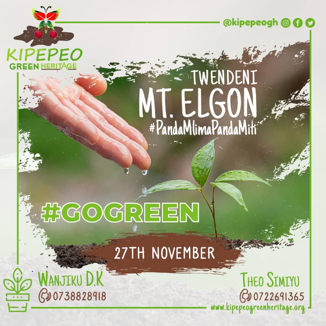 2 events, one weekend, 26-27th November 2021, Northern Kenya it is. #tembeakenya #pandamlimapandamiti.
Regreening our country, one tree at a time while enjoying ourselves.
#Team16 #TeamKipepeo #GoGreen #Gofruity #ClimateActionNow #TheLegacyContinues