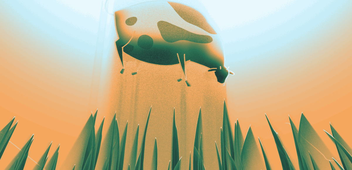 Q21_vienna's tweet photo. Save the date: BEST AUSTRIAN #ANIMATION FESTIVAL: November 23-27, 2021
Program and info: https://t.co/f2tueUMxKj
@Filmcasino #ASIFAaustria @viennashorts #animationsfilm #animationfilm #festival https://t.co/jn2qvBiRcV
