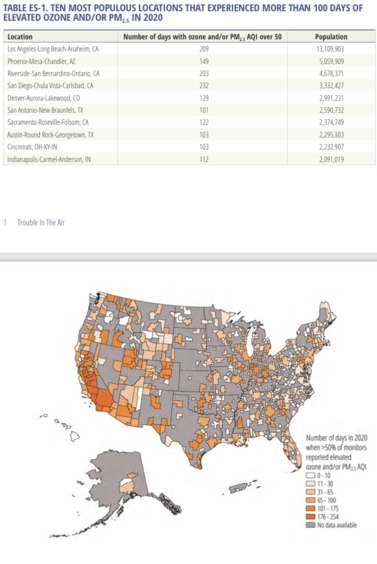 Rebecca Sheppard tweet media