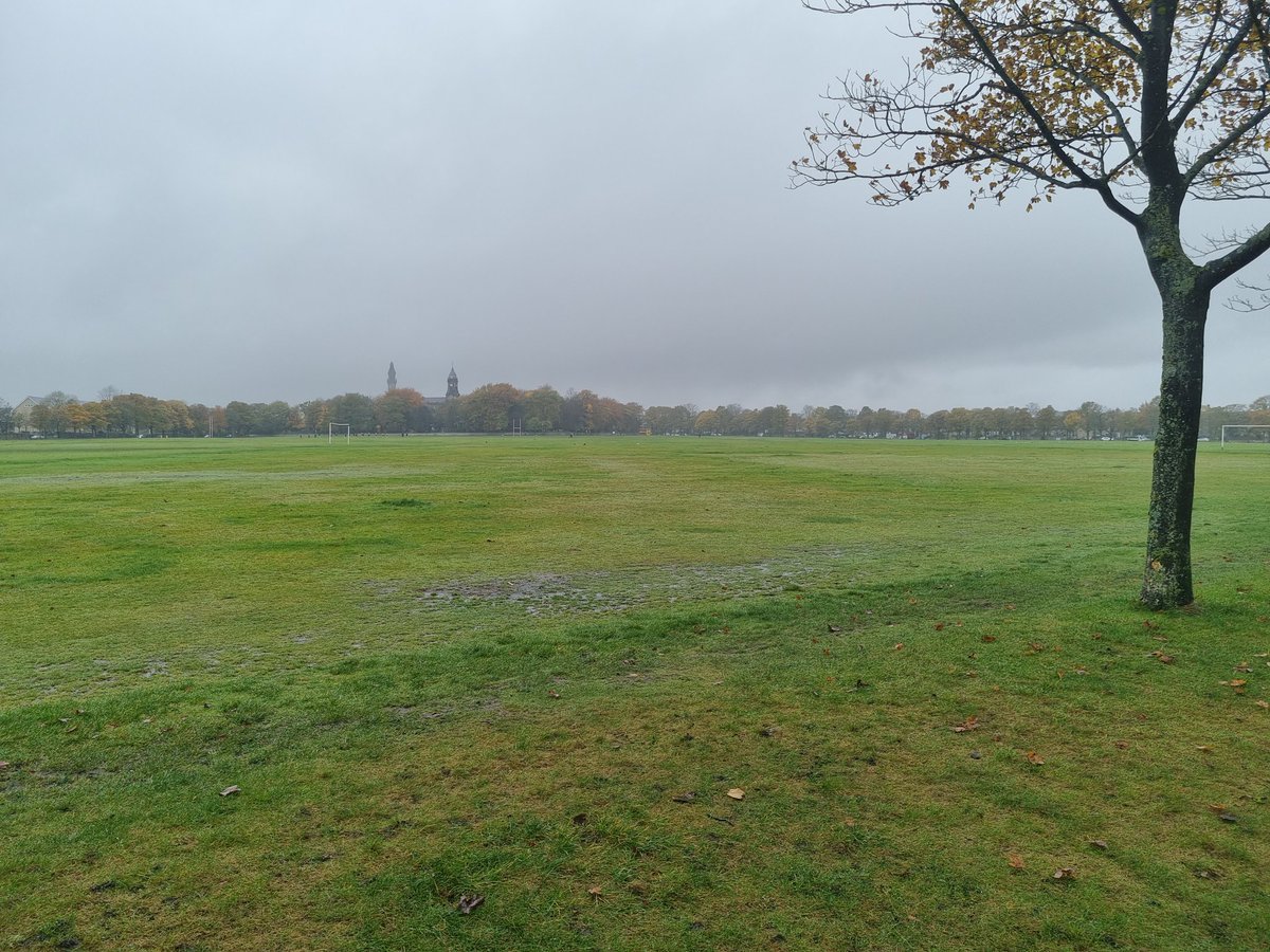 whiley_fox's tweet photo. A few hardy souls braved #middaymetime today at a damp and autumnal Savile Park Moor @ActiveCdale @sportyMC https://t.co/ckyHlCDOGJ