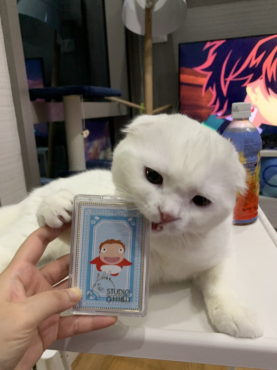 ปะเนว ตะฝุ่น และเอริจัง tweet media