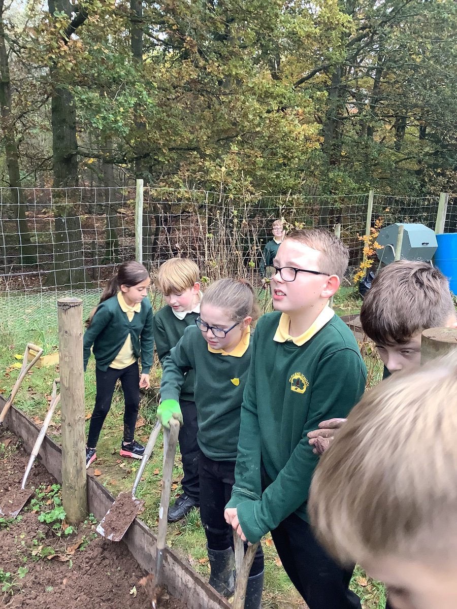 PrimaryParkend's tweet photo. Class 3 enjoying the allotment https://t.co/m33gCFR3HT