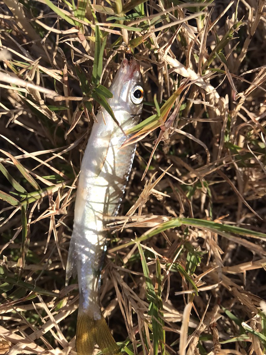 たけ (@tale10620725) on Twitter photo 