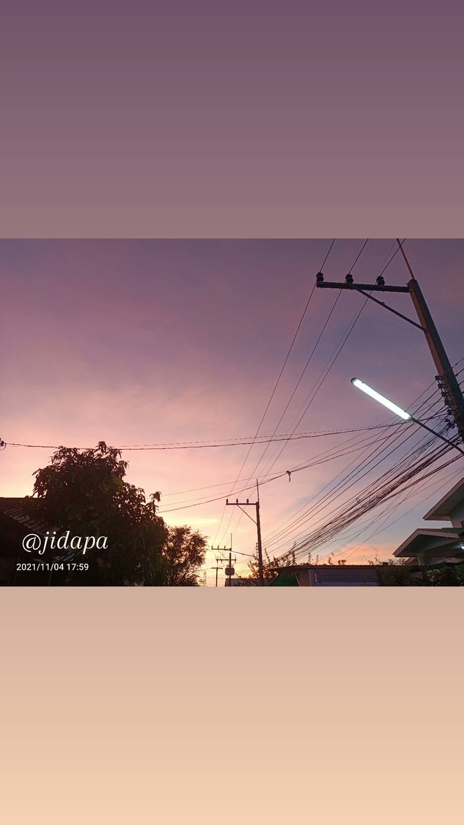 สมอฮอย tweet media