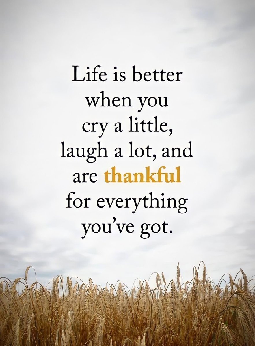 yearwogs's tweet photo. https://t.co/Wuu5dYLBI8