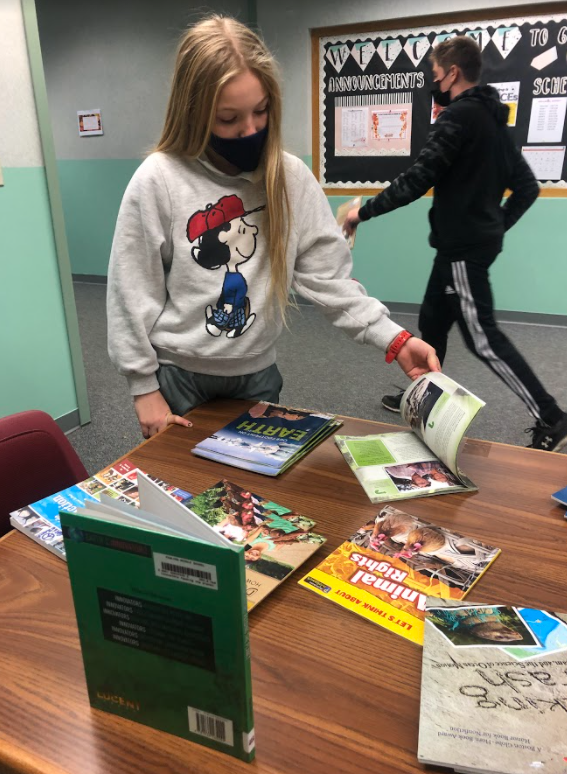 MsMontebello's tweet photo. 6th graders are book shopping today in ELA to find resources for their upcoming Environmental Research Project! https://t.co/Pt8OpwM0NG