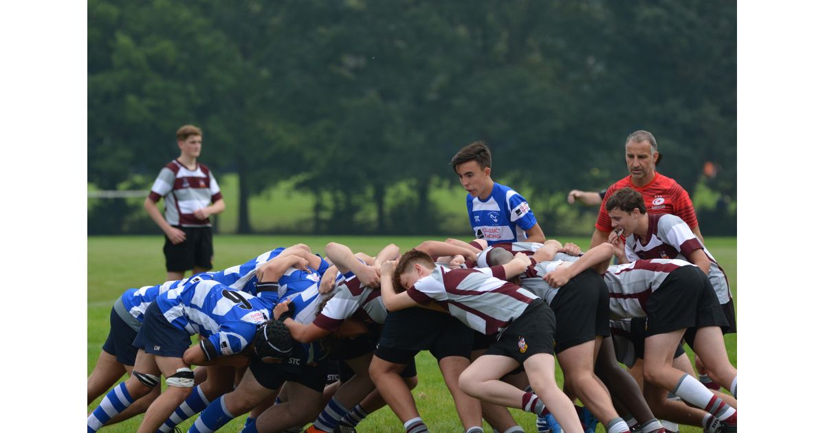 Maldon RFC tweet media