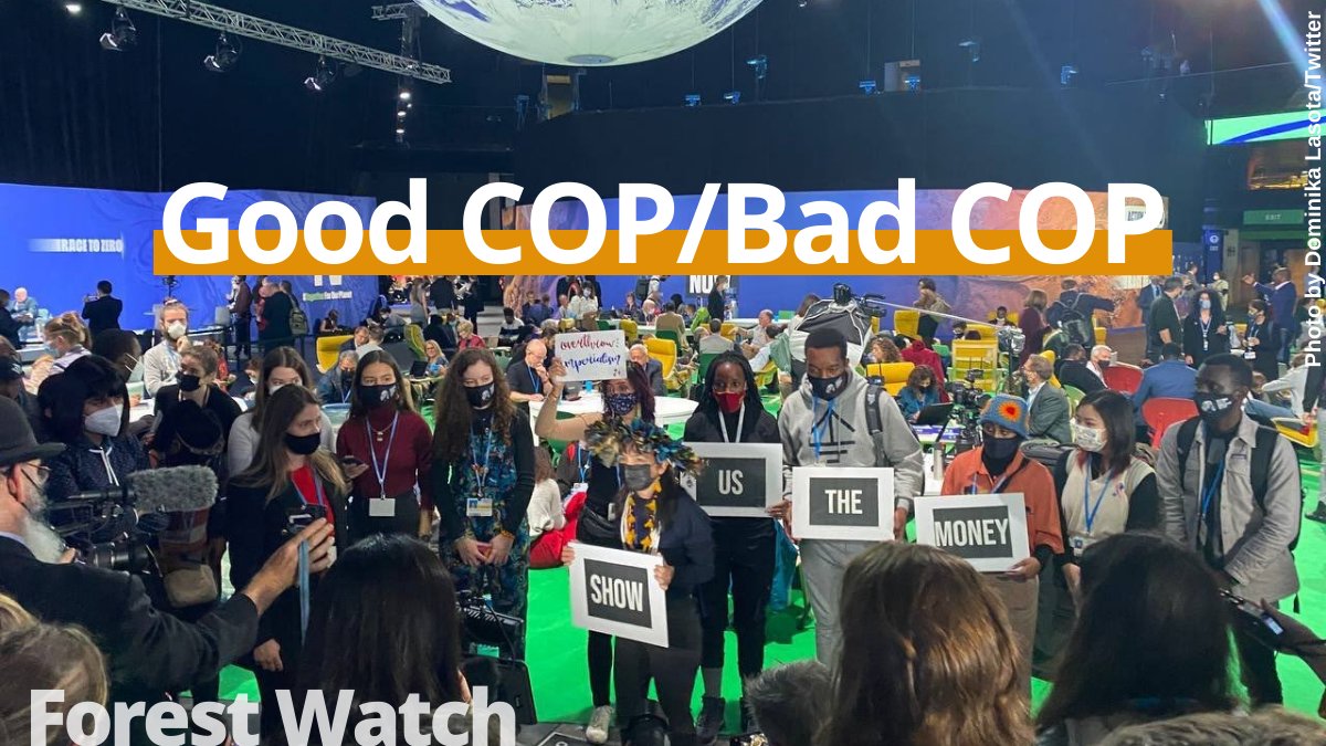 #COP26 - The Glasgow Leaders' Declaration on Forests and Land Use is small first step.

But let’s hope this time they mean it!

Read @Retchid's #ForestWatch article to find out what it really means for forests: fern.org/publications-i…