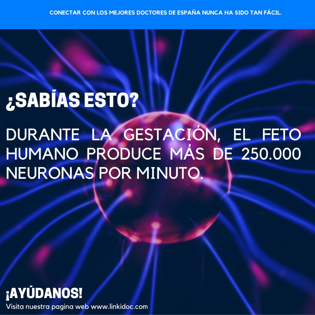 linki_DOC's tweet photo. #sabiasque #curiosidades #medicine #medicina #medico #google #curiosidadesmedicas #linkidoc #gruposmédicos https://t.co/l3XMRH356M