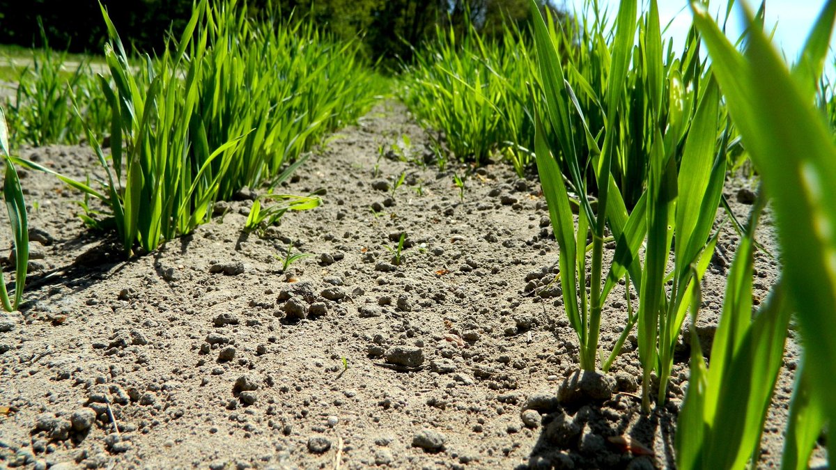 Linker55 tweet media