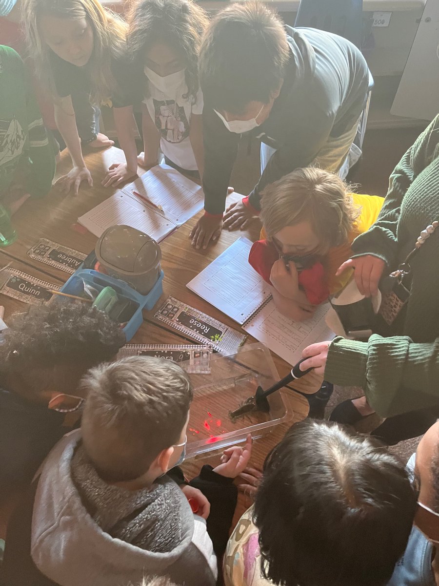 ThompsonIDC's tweet photo. 3rd Graders in @paintnersclass investigated Crayfish during science! https://t.co/OtewkBBI0e