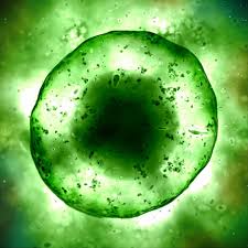 Phytoncides_'s tweet photo. Los compuestos orgánicos volátiles microbianos (MVOC)  #fitoncidas, #phytoncide, son producidos por una amplia gama de microorganismos que van desde bacterias hasta hongos. 
https://t.co/CfLee5UwAs
#shinrinyoku #forestmedicine #foresttherapy #forestbathing #outdoortherapies https://t.co/YKZNUsKi3a
