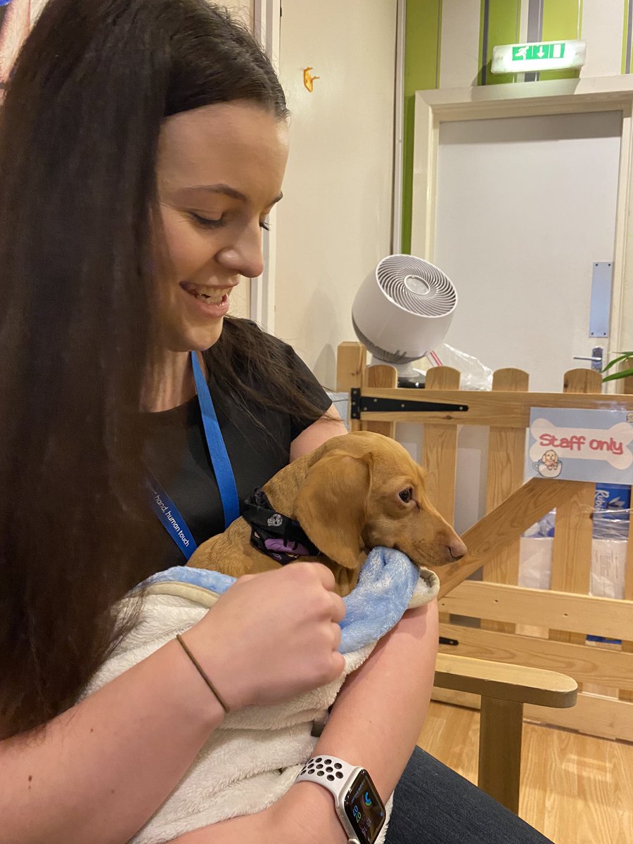 Jill Cull tweet media