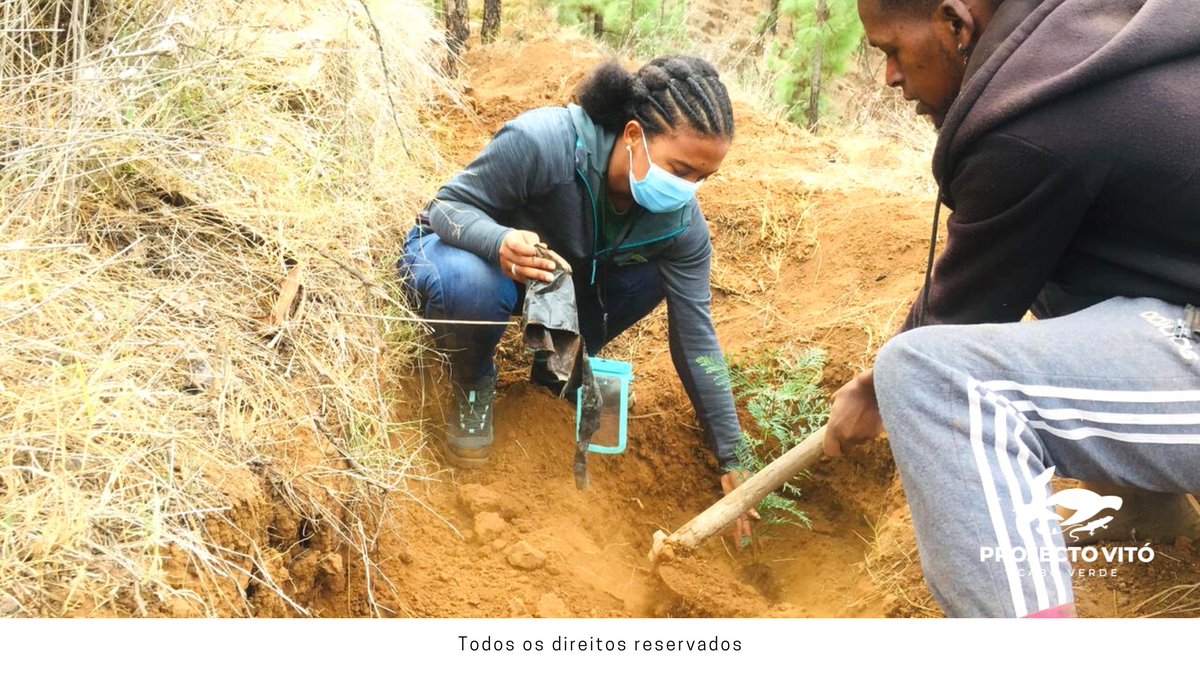 projecto_vito's tweet photo. It was great to be present at such an important event as the VI #InternationalCongress on #EnvironmentalEducation from #PortugueseSpeaking Countries and #Communities under the slogan:"Ocean, Lusophony and Environmental Education:Paths of Hope for a socio-ecological transformation https://t.co/liQJ1HJ7V9