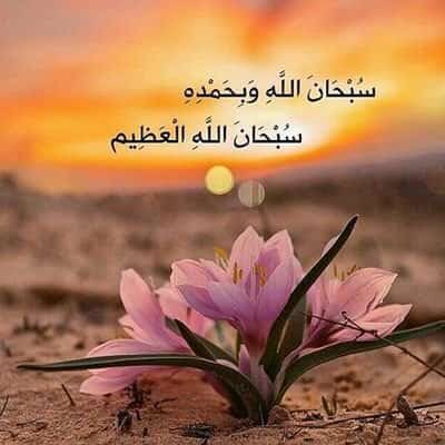 Ali_11ii's tweet photo. *‌‌‌اذا تأملت حال أنبياء الله في سورة الأنبياء وكيف نجى إبراهيم من النار ولوطـا من القرية التي تعمل الخبائث ونوحا من الكرب العظيم وكيفذ علّم داود وفهَّم سليمان*
*ثم قرأت { كانوا يسارعون في الخيرات ويدعوننا رغبا ورهبا وكانوا لنا خاشعين ) عرفت حينها المؤهلات المطلوبة لإجابة الدعاء https://t.co/PNa25GPARI