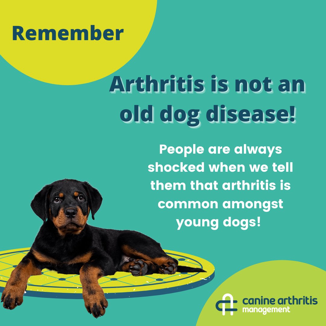 Canine Arthritis Management tweet media