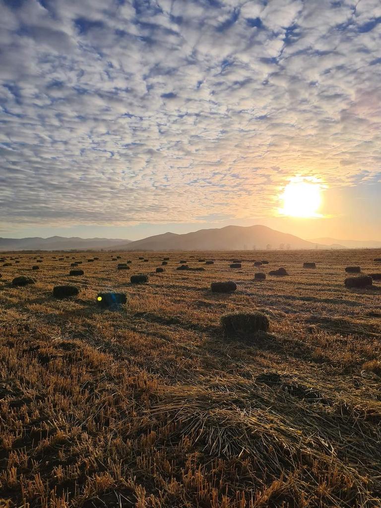 Lilmarala's tweet image. Тариан талбай... Сэлэнгэ аймаг Мандал сум 21.11.09 #SamsungS20+ #Гэнэ