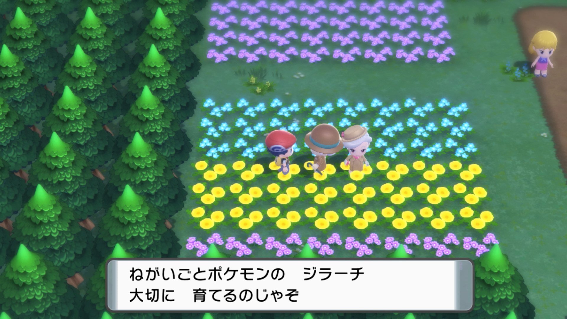 公式 ポケモン情報局 ポケモンbdsp の新たな特典を公開 ポケモン剣盾 のセーブデータを持っていると なんと ねがいごとポケモンの ジラーチ が仲間になります ソノオタウン左側の花畑でジェントルマンに話しかけてみてくださいね