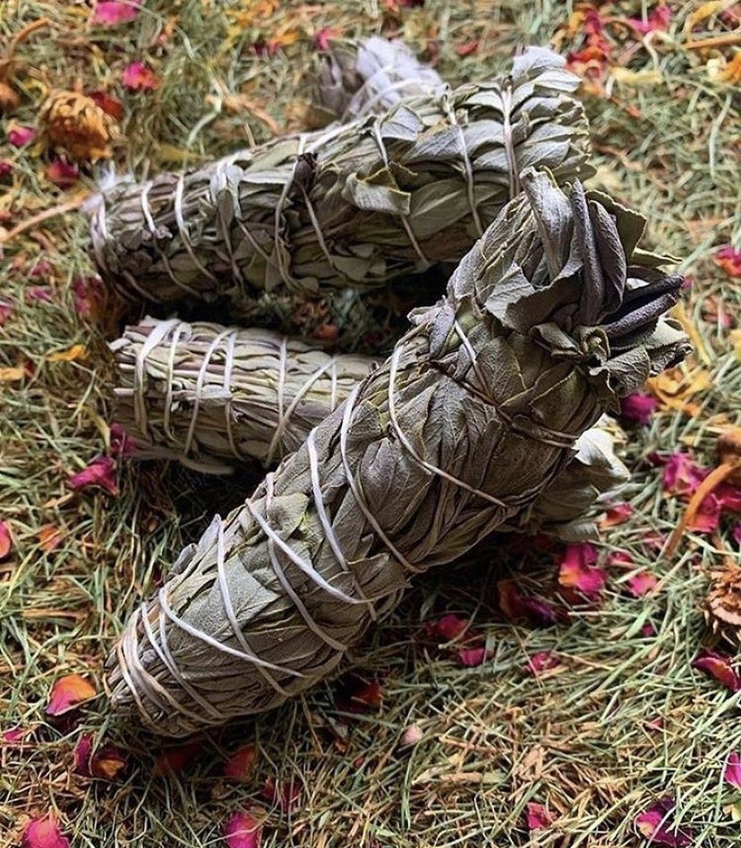 _WitchyBoots's tweet photo. Our cottage has had a full harvest! These are now available to purchase over at https://t.co/kjl0GQNULx ✨🔮💕 https://t.co/gnz1mTlFFZ