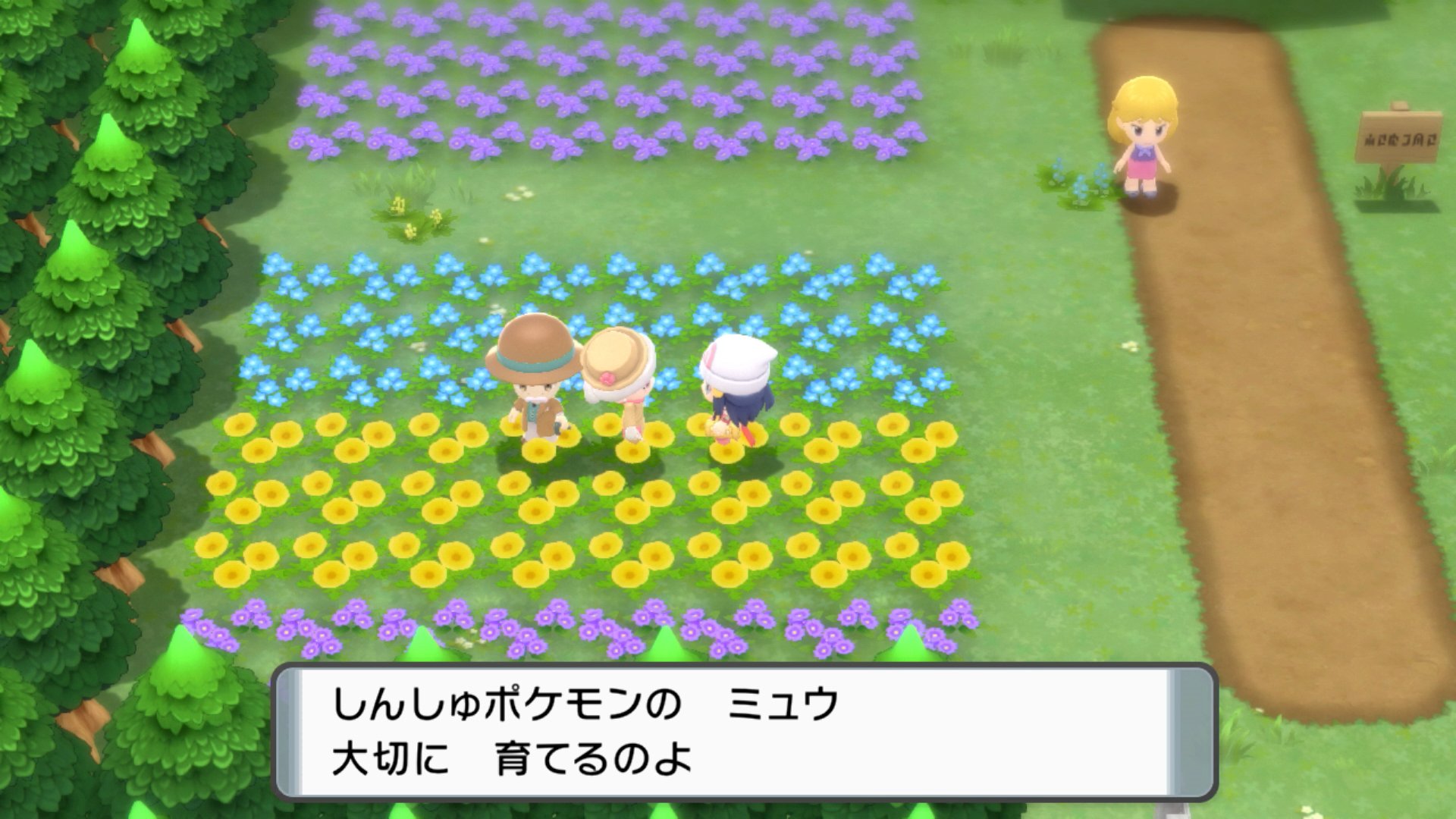 公式 ポケモン情報局 さらに ピカブイ のセーブデータを持っていると ポケモンbdsp で しんしゅポケモンの ミュウ が仲間になります ソノオタウン左側の花畑でマダムに話しかけてみてください とても珍しい幻のポケモンに出会えるチャンス
