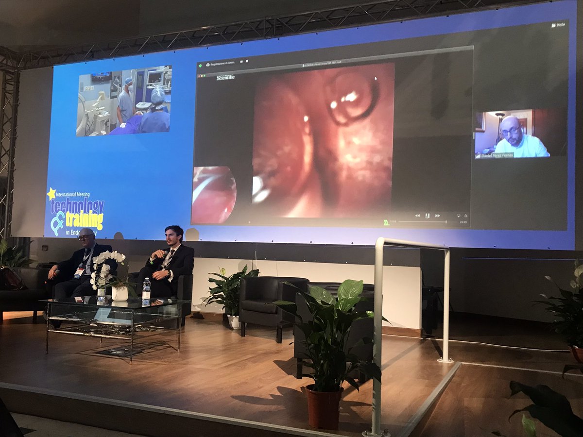 Amelia Pietropaolo tweet media