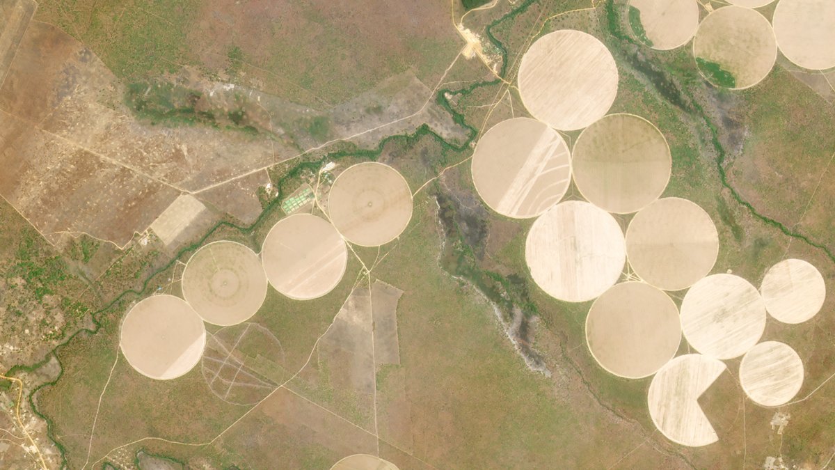 planet's tweet image. Thrilled to share that we are acquiring @VanderSatNL! Their analytics and industry expertise in agriculture, civil govt. &amp;amp; insurance empower users to make better decisions about their crops and resources. Get all of the details: planet.com/pulse/planet-t…

$DMYQ