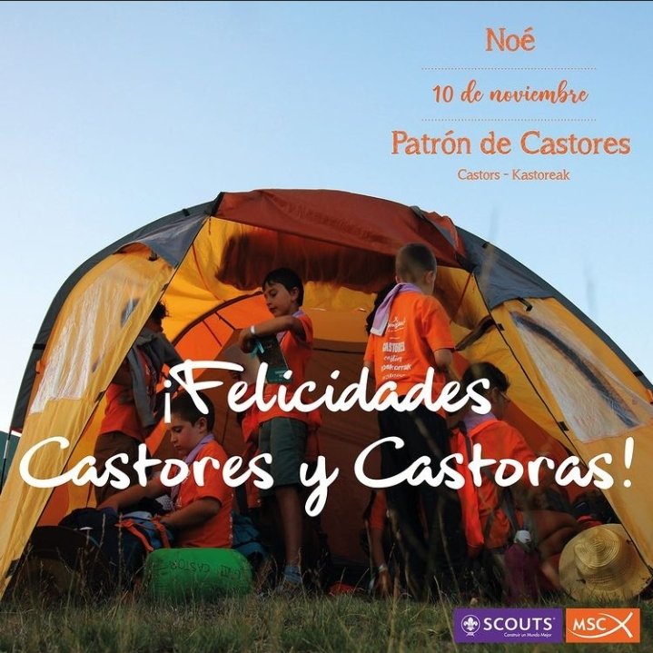 ¡Felicidades Castores🦫!
Hoy celebramos el Patrón de los Castores, Noé. 

Desde hace poquitos años, podemos disfrutar de Castorcillos en nuestro Grupo, ¡la primera generación en nuestros 26 años de vida!🙌🏻

¡Felicidades, Colonia Kineret!🥳

#ScoutsMSC #Castores #ColoniaKineret
