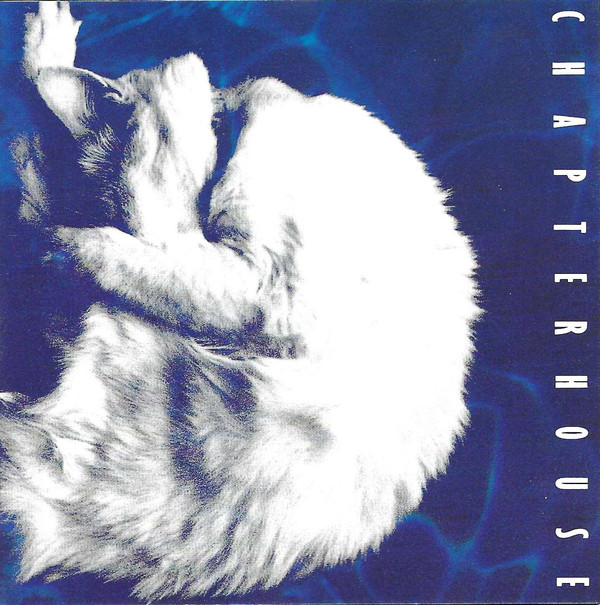 shouts 2 <a href="/vinyldreams/">Vinyl Dreams</a> in sf. found a copy of Chapterhouse Whirlpool for 10 bucks! still filling the vinyl gaps of my teenaged shoegaze heaven!