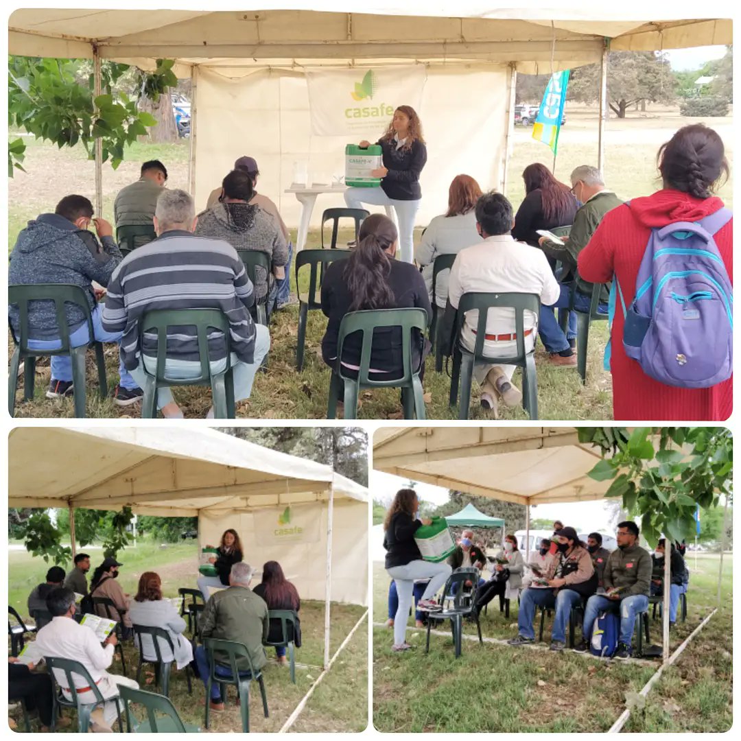 INTASalta's tweet photo. Se lleva a cabo el 2do día de la "Jornada en Usos de EPP y Equipos de Aplicación en Fitosanitarios"
.
.
.
.
.
#allianceone @ctsalta @renatreinforma #coprotab @TwitCASAFE @CampoLimpioCo @INTASalta https://t.co/Ks28lWRXVK