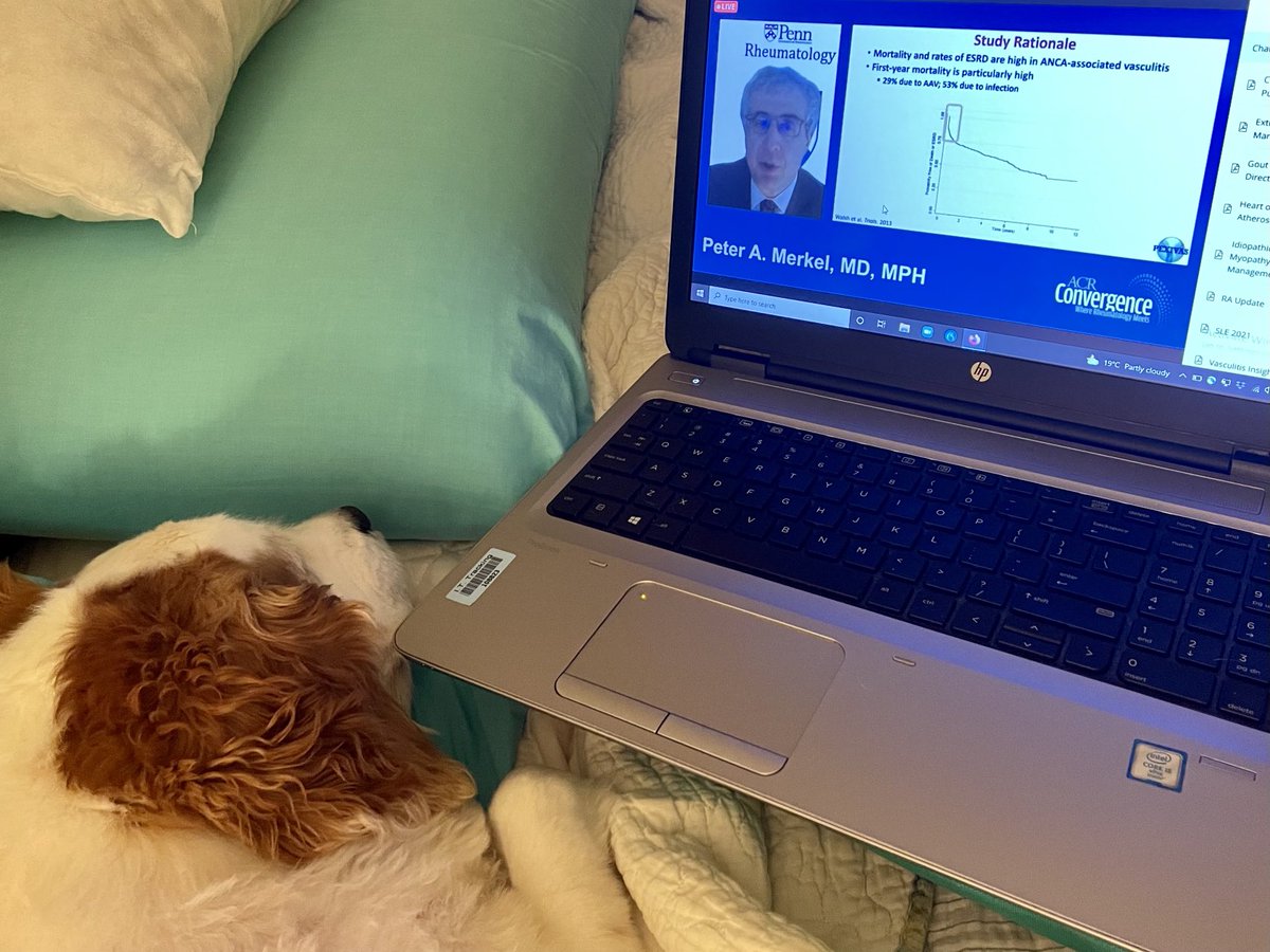 drlailagirgis's tweet photo. #ACR21 #PetsofACR Loving the review course on now! Thanks @PeterMerkel #AAV #PEXIVAS low dose glucocorticoid regimen should be considered the standard of care https://t.co/uRq7nNpfVb