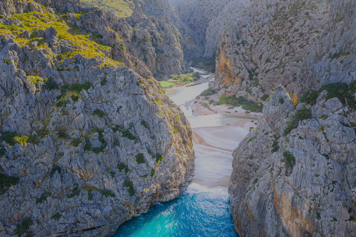Turismo Illes Balears tweet media