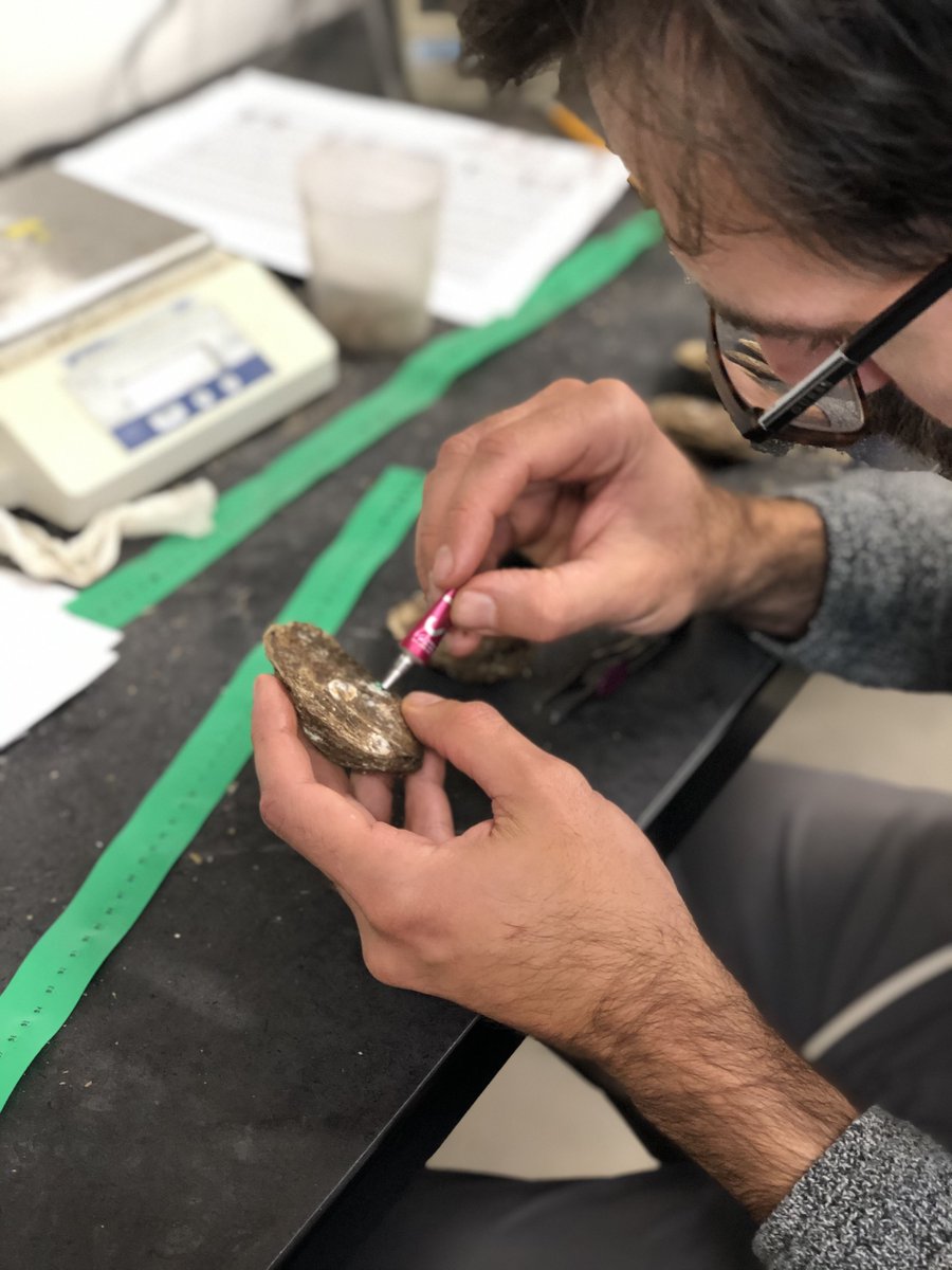 Labo Bernatchez tweet media