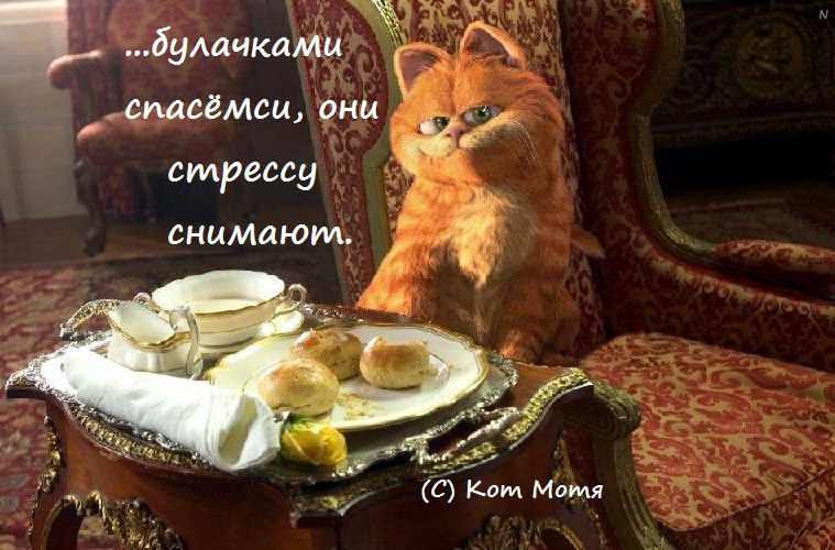 Блог Кота Моти.: нончи-катамончи catmotya.blogspot.com/2021/11/blog-p…
