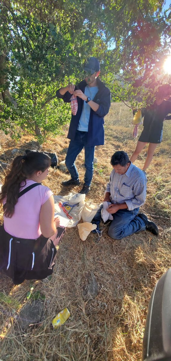 PPNEA's tweet photo. The autumnal #Birdbandingcamps, organised during September and October in #PrespaNationalPark, successfully concluded the bird ringing for 2021, as a new method to study the birds of this area.🐦
@EuroNaturORG  @BirdsAlbania 
#prespanet #PONT 
Find more 👇
https://t.co/hVxvOFDSQj https://t.co/3P6pMKkYG9