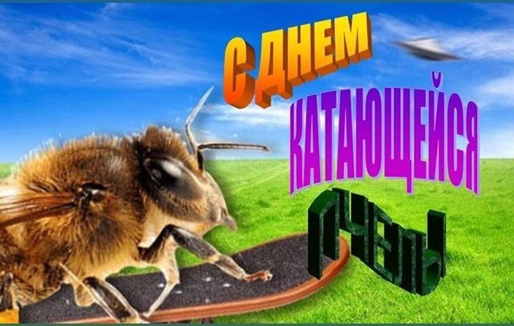 Shabriri1's tweet photo. @thoma_lovesu Кчау https://t.co/fqtJ93CttB