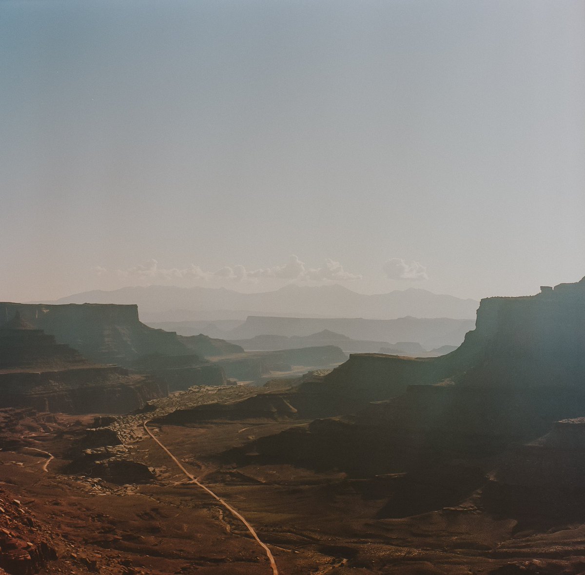 Aidan Tooth tweet media