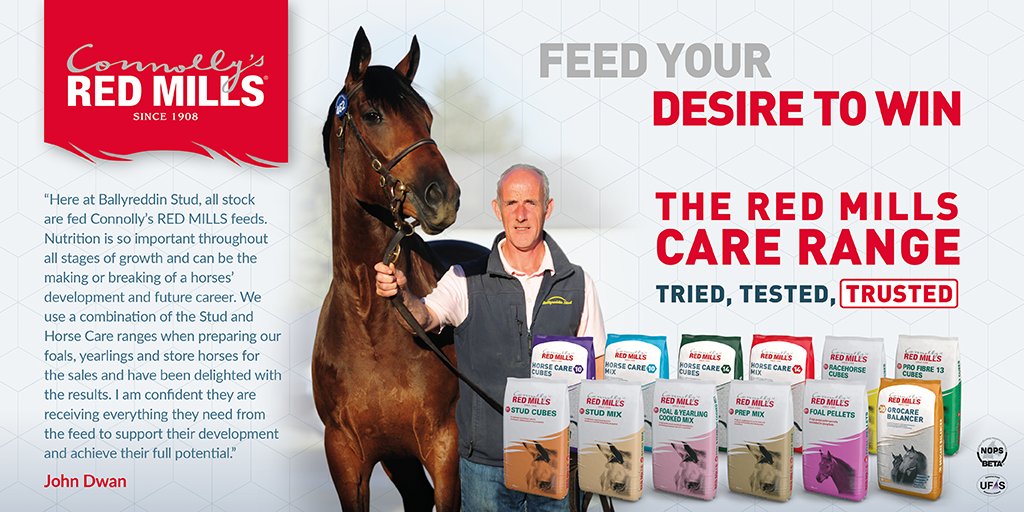 Its been a good week for Ballyreddin Stud at the @tatts_ireland November National Hunt Sale. Monday's top lot, a €70,000 daughter of No Risk At All one of the highlights of a great sale 👏

#FeedYourDesireToWin