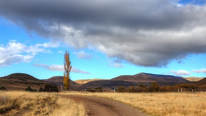 BizyBarbara's tweet photo. Verbeel ek my
of het die warrelwind
op die stofpad
na jou hart
my trane
afgedroog
#afrikaans #gedig #poetrycommunity #WritingCommunity #landscapephotography
Photo by WHJ Botha (1960 - 2020) https://t.co/wRp44Q3xKw