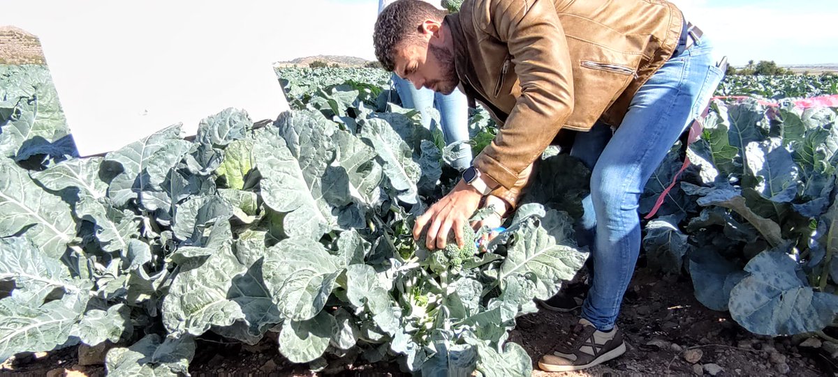 Revista Fruit Today tweet media